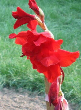 bild015