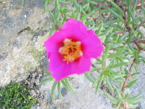 bild016