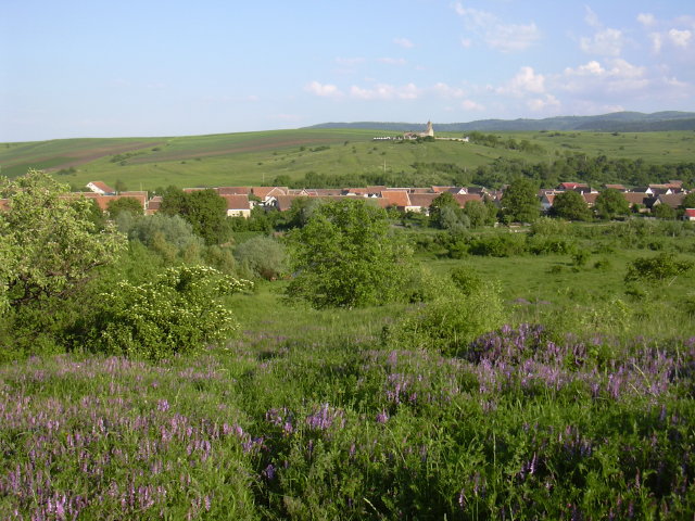 DSCN0023a