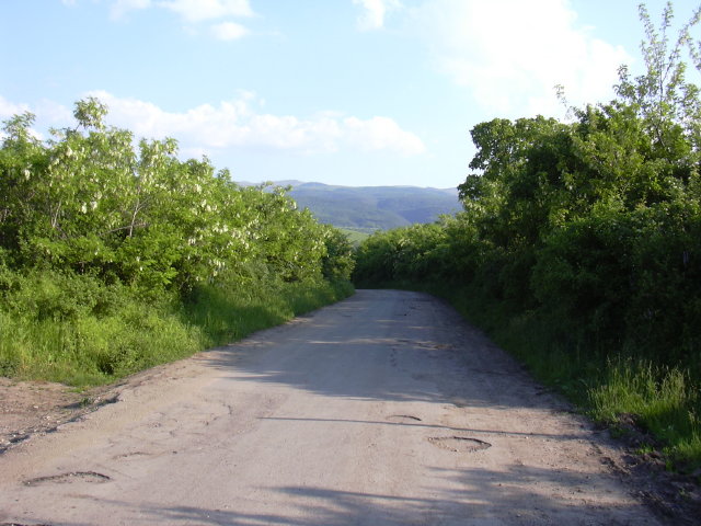 DSCN0026b