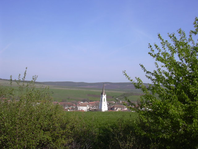 DSCN0028