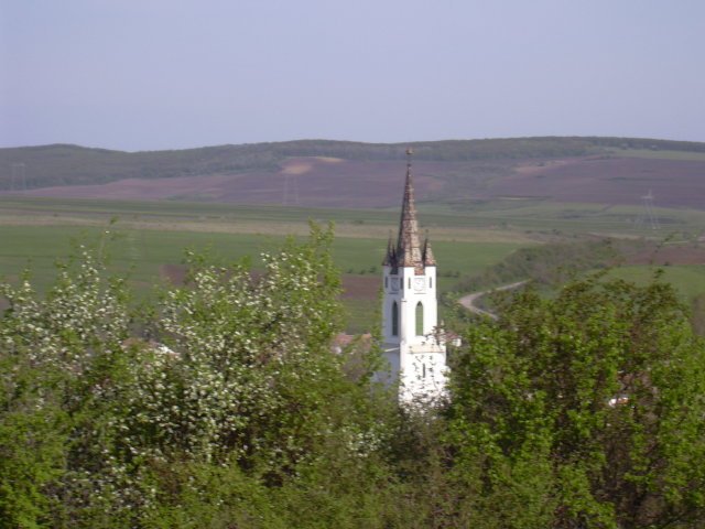 DSCN0030