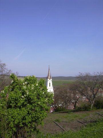 Dscn0032