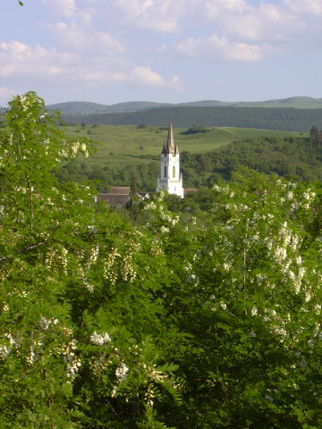 DSCN0033