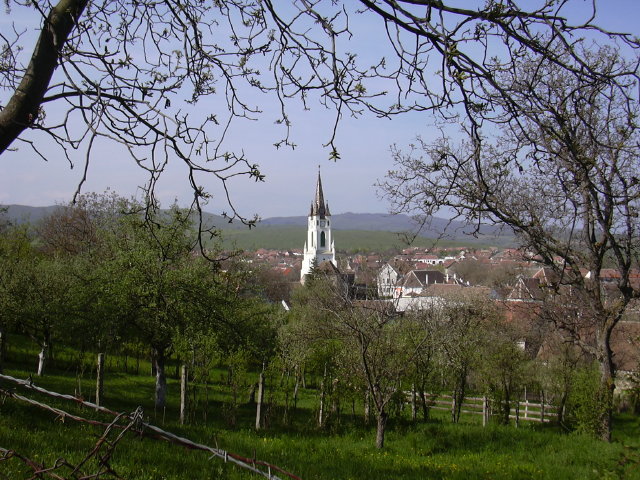 DSCN0035