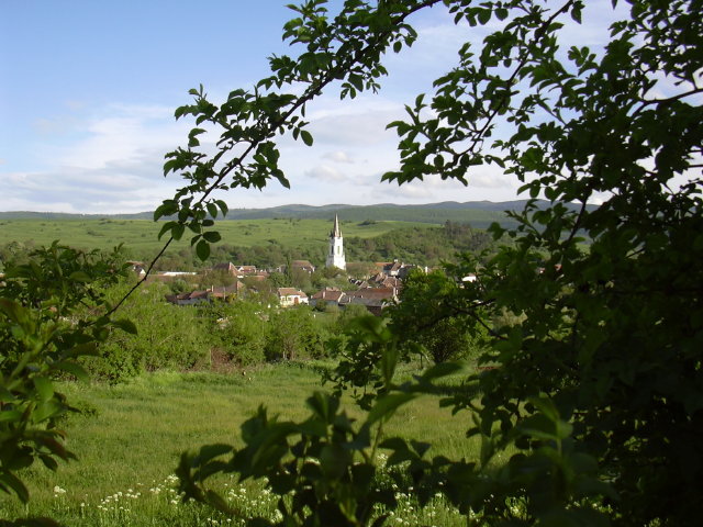DSCN0038a