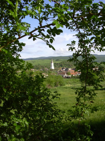 DSCN0043