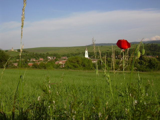 DSCN0045c
