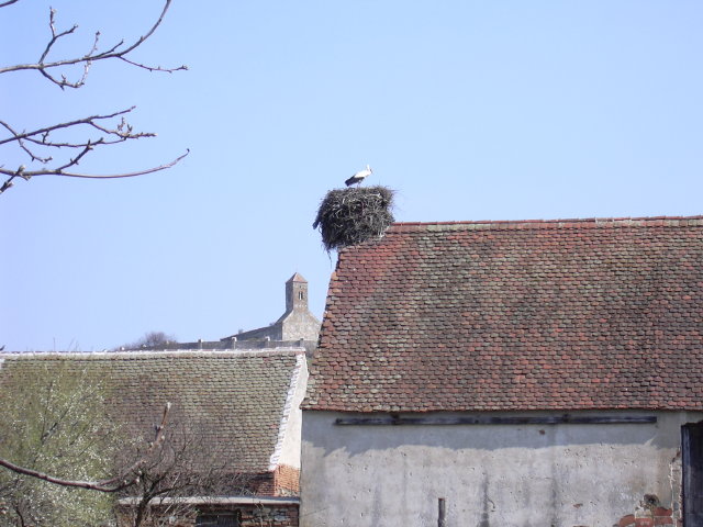 DSCN0049