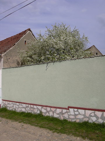 DSCN0049a