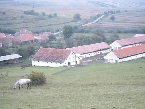 Bild-15