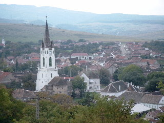 Bild-4