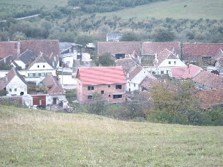 Bild-5