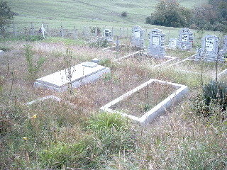 Der neue Friedhof