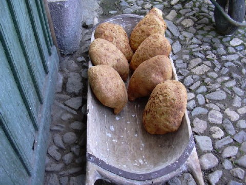 Hausbrot