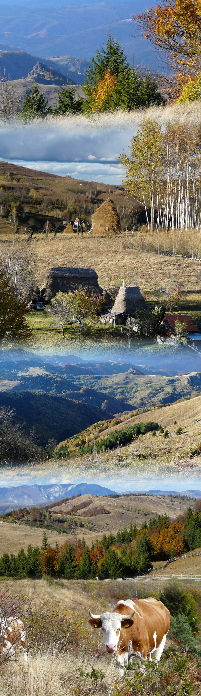 2023.10.28 Valea Bucurului Ponor