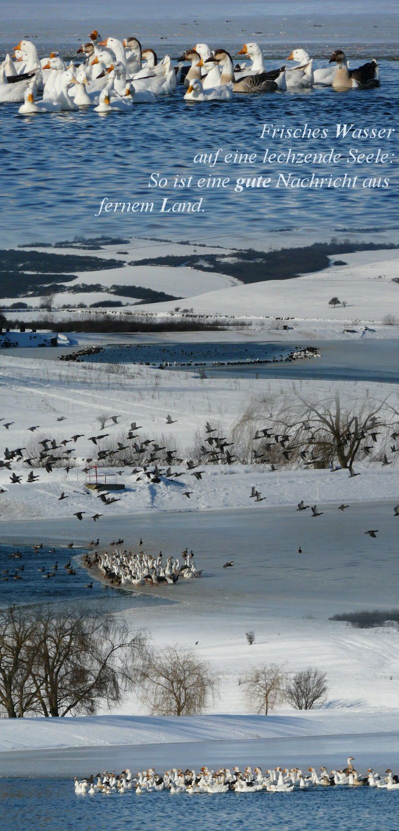 Januar Wasser